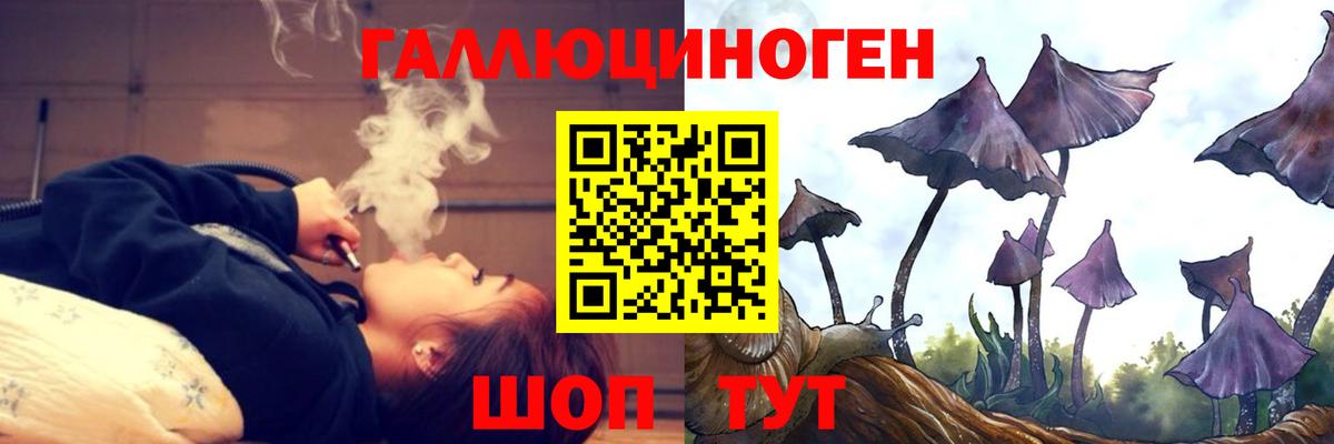 Галлюциногенные грибы Cubensis Гатчина